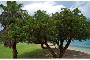 Hotel Beautiful Ground Floor! Corner! Just Steps To Ocean And Pool!120 Napili-Honokowai Esterno foto